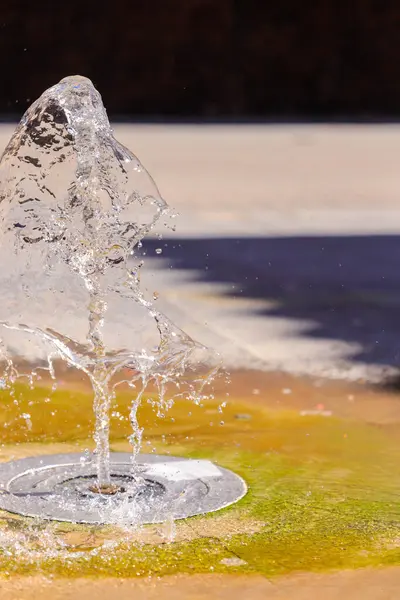 Parktaki buzlu çeşme