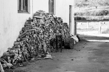 Odunlar odun yığınına istiflenmiş.