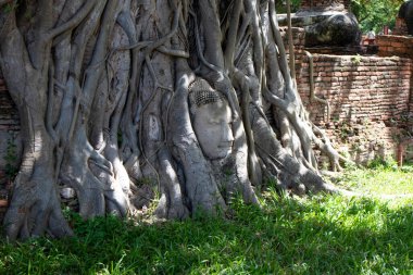 Wat Mahathat Antik Ayutthaya Tarihi Parkı 'ndaki tarihi parkta, Phra Nakhon Si Ayutthaya, Tayland