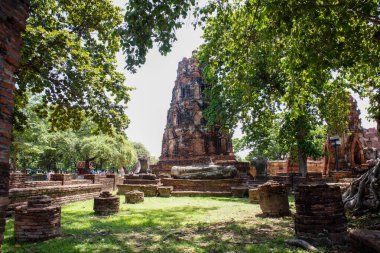 Wat Mahathat Antik Ayutthaya Tarihi Parkı 'ndaki tarihi parkta, Phra Nakhon Si Ayutthaya, Tayland