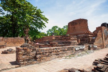 Wat Mahathat Antik Ayutthaya Tarihi Parkı 'ndaki tarihi parkta, Phra Nakhon Si Ayutthaya, Tayland