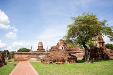 Wat Mahathat Antik Ayutthaya Tarihi Parkı 'ndaki tarihi parkta, Phra Nakhon Si Ayutthaya, Tayland