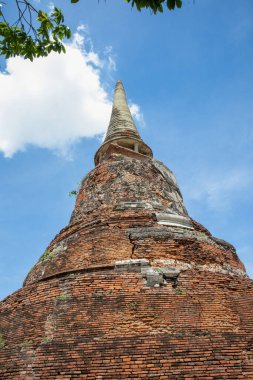 Wat Mahathat Antik Ayutthaya Tarihi Parkı 'ndaki tarihi parkta, Phra Nakhon Si Ayutthaya, Tayland