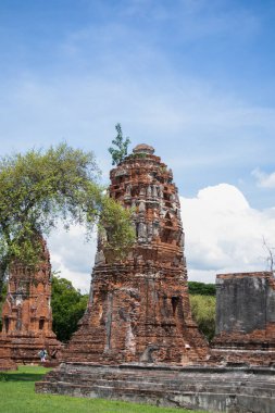 Wat Mahathat Antik Ayutthaya Tarihi Parkı 'ndaki tarihi parkta, Phra Nakhon Si Ayutthaya, Tayland
