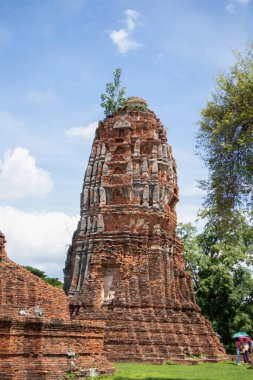 Wat Mahathat Antik Ayutthaya Tarihi Parkı 'ndaki tarihi parkta, Phra Nakhon Si Ayutthaya, Tayland