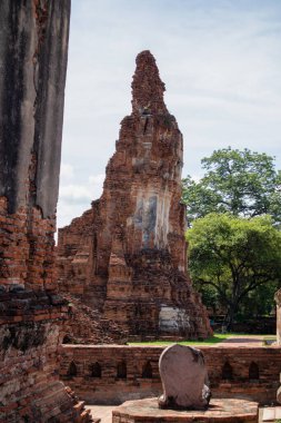 Wat Mahathat Antik Ayutthaya Tarihi Parkı 'ndaki tarihi parkta, Phra Nakhon Si Ayutthaya, Tayland
