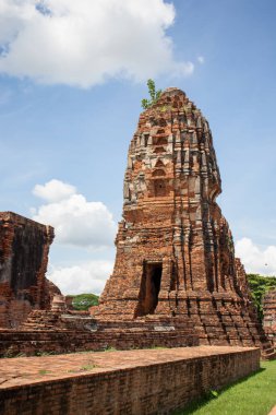 Wat Mahathat Antik Ayutthaya Tarihi Parkı 'ndaki tarihi parkta, Phra Nakhon Si Ayutthaya, Tayland
