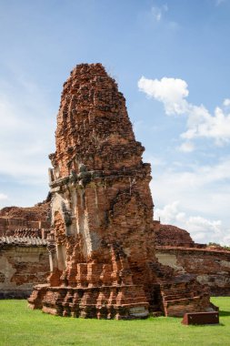 Wat Mahathat Antik Ayutthaya Tarihi Parkı 'ndaki tarihi parkta, Phra Nakhon Si Ayutthaya, Tayland