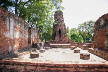 Wat Mahathat Antik Ayutthaya Tarihi Parkı 'ndaki tarihi parkta, Phra Nakhon Si Ayutthaya, Tayland