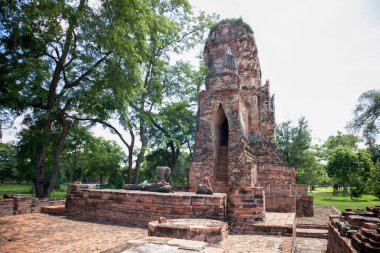 Wat Mahathat Antik Ayutthaya Tarihi Parkı 'ndaki tarihi parkta, Phra Nakhon Si Ayutthaya, Tayland