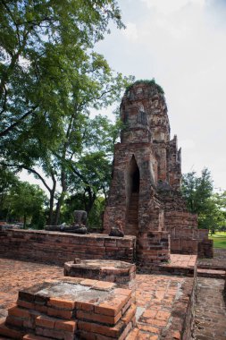 Wat Mahathat Antik Ayutthaya Tarihi Parkı 'ndaki tarihi parkta, Phra Nakhon Si Ayutthaya, Tayland