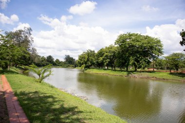 Wat Mahathat Antik Ayutthaya Tarihi Parkı 'ndaki tarihi parkta, Phra Nakhon Si Ayutthaya, Tayland