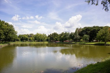 Wat Mahathat Antik Ayutthaya Tarihi Parkı 'ndaki tarihi parkta, Phra Nakhon Si Ayutthaya, Tayland