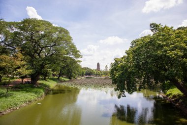 Wat Mahathat Antik Ayutthaya Tarihi Parkı 'ndaki tarihi parkta, Phra Nakhon Si Ayutthaya, Tayland