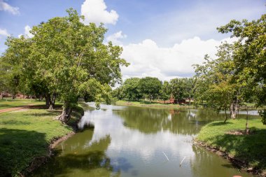 Wat Mahathat Antik Ayutthaya Tarihi Parkı 'ndaki tarihi parkta, Phra Nakhon Si Ayutthaya, Tayland
