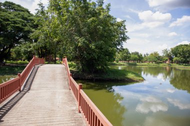 Wat Mahathat Antik Ayutthaya Tarihi Parkı 'ndaki tarihi parkta, Phra Nakhon Si Ayutthaya, Tayland