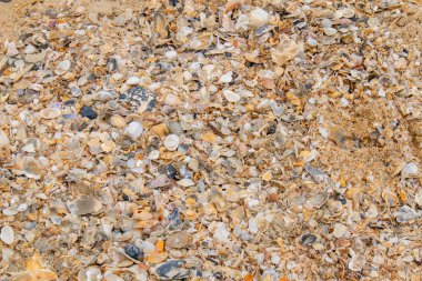 Tayland Nakornsrithammarat 'taki Pak Phanang bölgesinde kumsal dokusu.