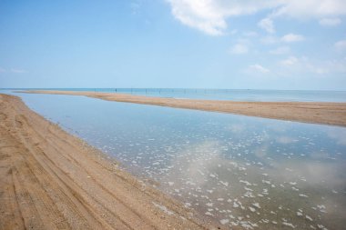 Tayland Nakornsrithammarat 'taki Pak Phanang bölgesindeki kum plajı.
