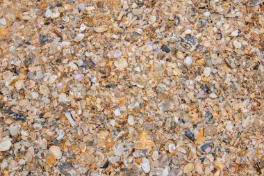 Tayland Nakornsrithammarat 'taki Pak Phanang bölgesinde kumsal dokusu.