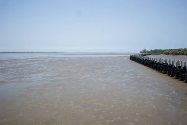 Lastik duvar Tayland 'daki mangrov ormanlarında dalgaları korur.