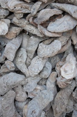 Pathumthani, Tayland 'daki Wat Chedi Hoi' de Buda Heykeli ve manzara manzarası