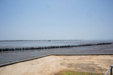 Lastik duvar Tayland 'daki mangrov ormanlarında dalgaları korur.