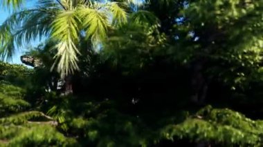 Fantezi peri masalı şatolu uçan kayalar. Gerçekçi 4k animasyonu