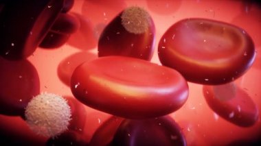 İnsan vücudundaki kan hücresi. Nanomedecine konsepti. Gerçekçi 4k animasyonu