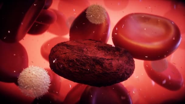 Vérsejt Emberi Testben Nanomedecine Koncepció Realisztikus Animáció — Stock videók