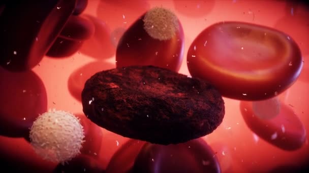 Bloedcel Het Menselijk Lichaam Nanomedecine Concept Realistische Animatie — Stockvideo