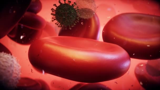 Virus Células Sanguíneas Dentro Del Cuerpo Humano Concepto Nanomedecina Animación — Vídeos de Stock