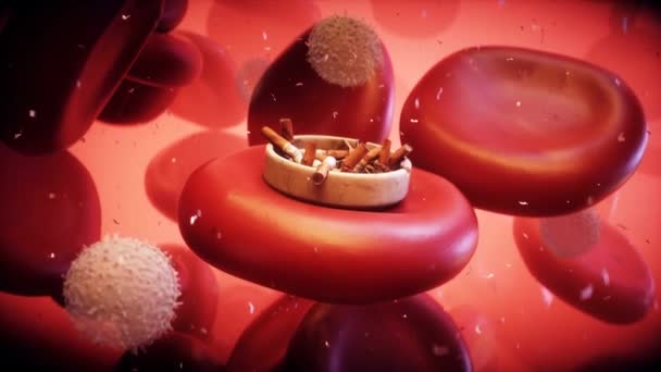 Сигареты Клетки Крови Внутри Человеческого Тела Вред Курения Концепции Реалистичная — стоковое видео