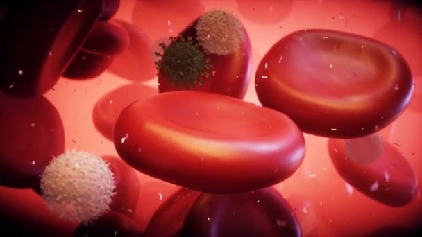 人体内的病毒和血细胞 纳米药物的概念 现实的4K动画 — 图库视频影像