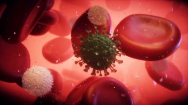Virüs ve kan hücresi insan vücudunda. Nanomedecine konsepti. gerçekçi 4k animasyonu
