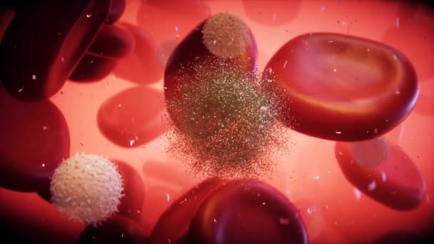 Virus Krevní Buňky Lidském Těle Nanomedicínský Koncept Realistická Animace — Stock video