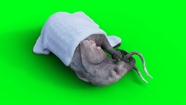 Slon Spí Pod Přikrývkou Realistická Zelená Animace Obrazovky — Stock video