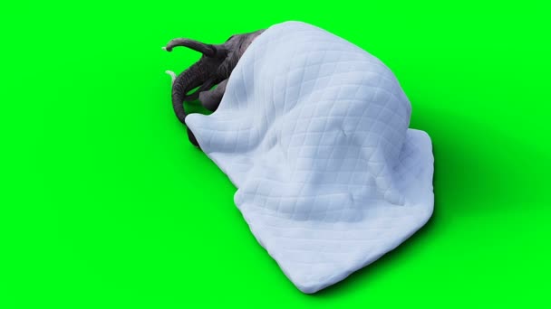 Слон Спит Одеялом Анимация Зеленым Экраном — стоковое видео