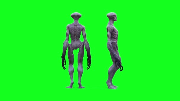 Assustador Alienígena Verde Tela Animação — Vídeo de Stock