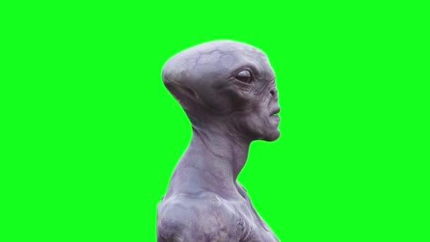 Skrämmande Alien Grön Skärm Animation — Stockvideo