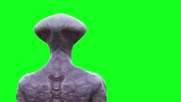 Děsivý Alien Zelená Obrazovka Animace — Stock video