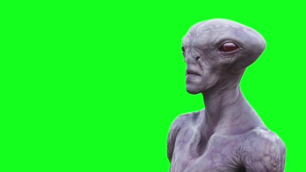 Spaventoso Alien Animazione Schermo Verde — Video Stock