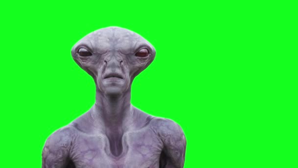 Straszny Zielony Ekran Animacji Alien — Wideo stockowe