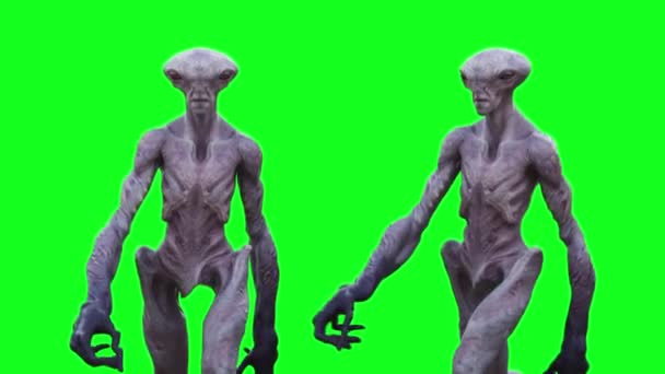 Scary Alien Green Screen Animation — Stock Video