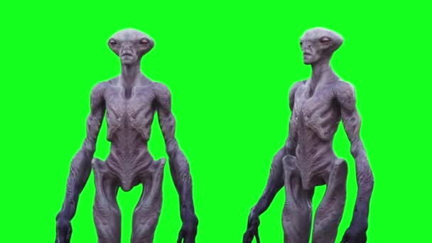 Skrämmande Alien Grön Skärm Animation — Stockvideo