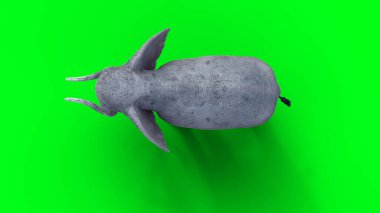 Afrika fili boşta. 3d oluşturma