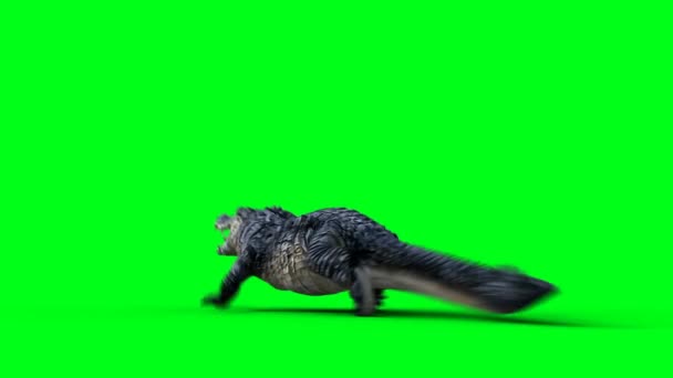 攻撃的なワニ アリゲーター 爬虫類を実行しています 4K緑のスクリーン隔離して下さい — ストック動画
