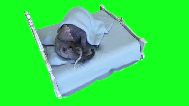 Смішний Слон Спить Ліжку Під Ковдрою Реалістична Анімація — стокове відео