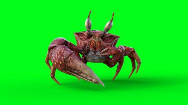 Yürüyen deniz yengeci. 3d oluşturma