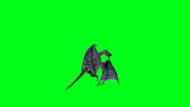 Dragon Horreur Volant Concept Fantaisie — Video