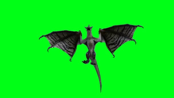 Repülő Horror Sárkány Fantasy Koncepció — Stock videók